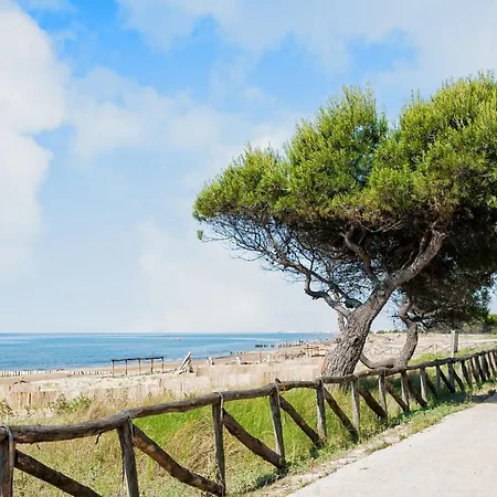 With Sea View Terrace Lägenhet Bibione